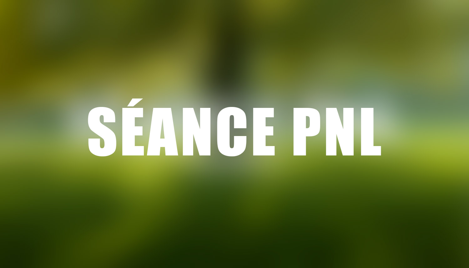 Séance PNL